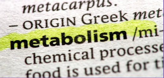 How does VITAMIN B6 help with your workout?