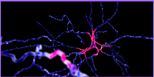 What is L-TYROSINE?