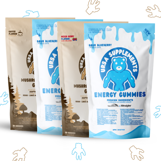 URSA Performance Bundle – Energy + Mushroom Complex