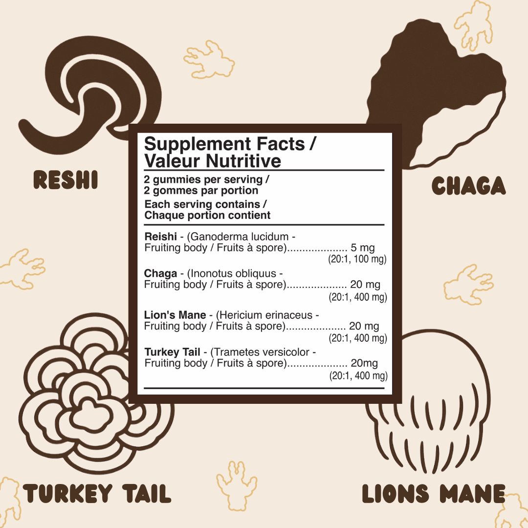 URSA Performance Bundle – Energy + Mushroom Complex